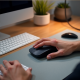 FlexiConnect Bluetooth Mouse FlexiConnect Bluetooth Mouse