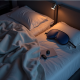 Serenity Sleep Buds Serenity Sleep Buds
